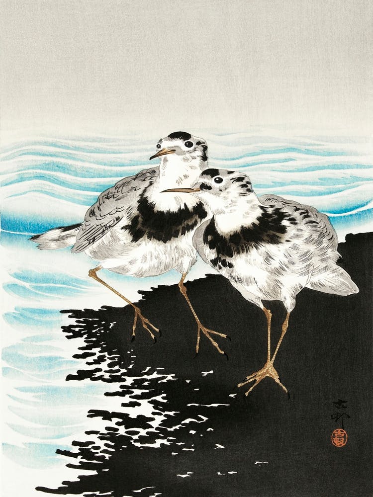 Large Coot Sandpipers (1900 1930), Ohara Koson
