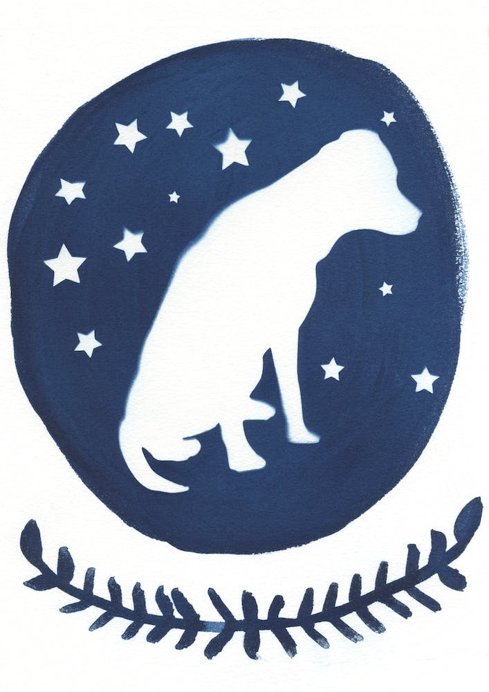 Dog Star