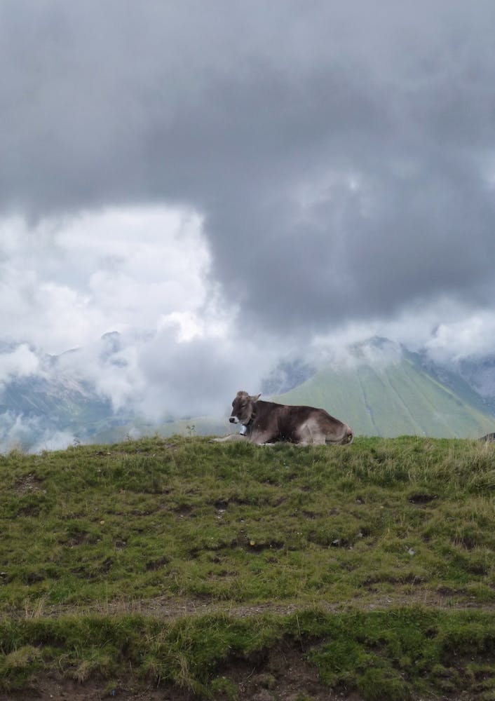 Bergblick 26