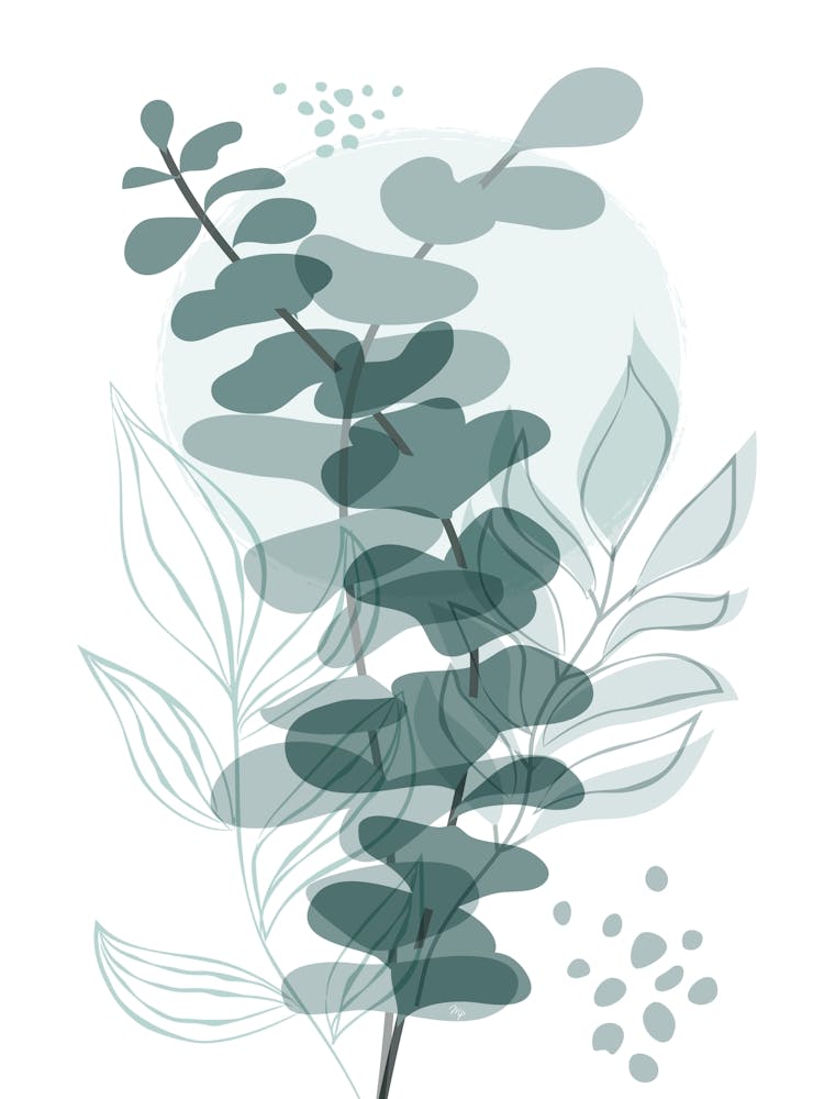 Eucalyptus Vert Un