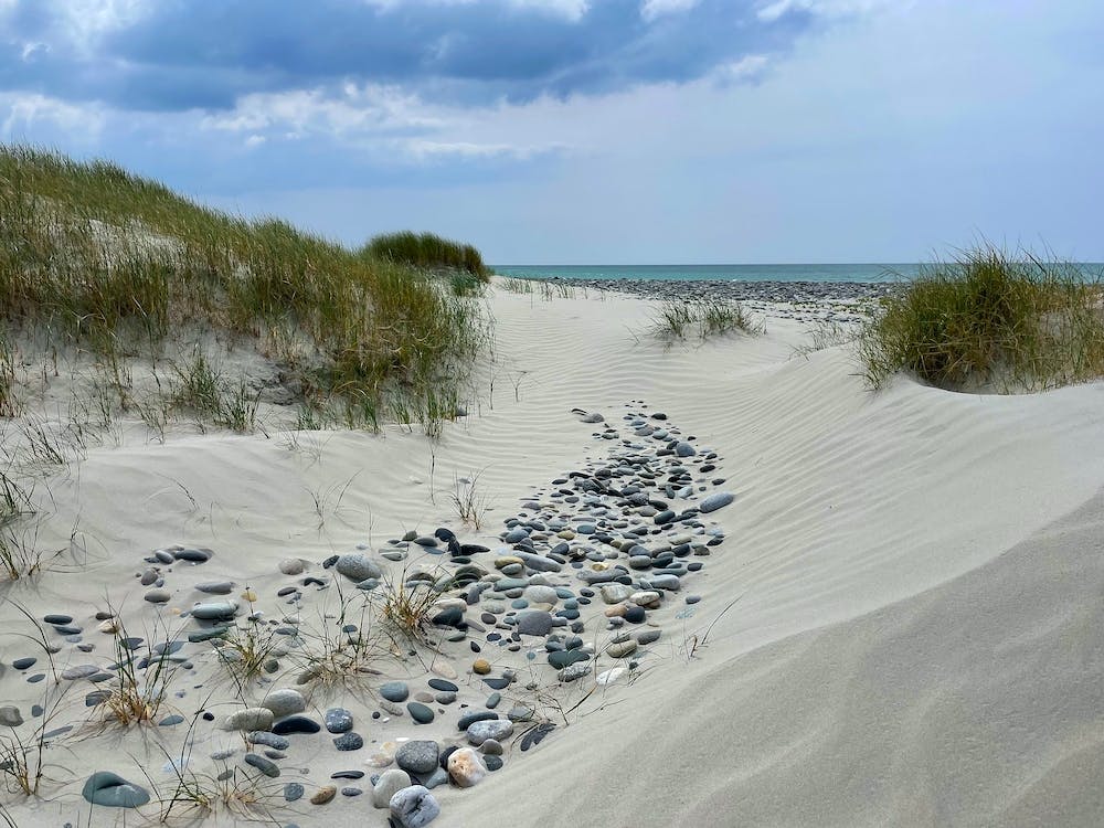 Sand Dunes 1