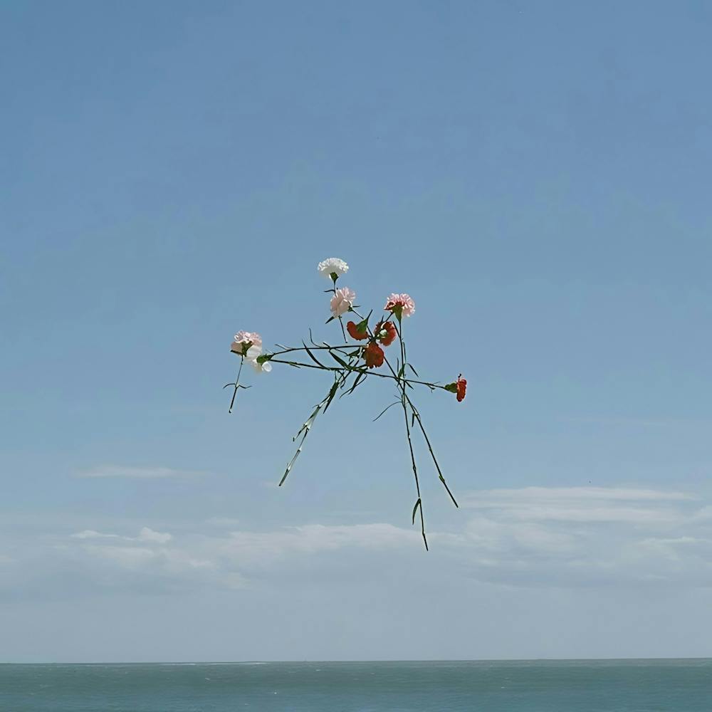 Flowers In The Sky 1