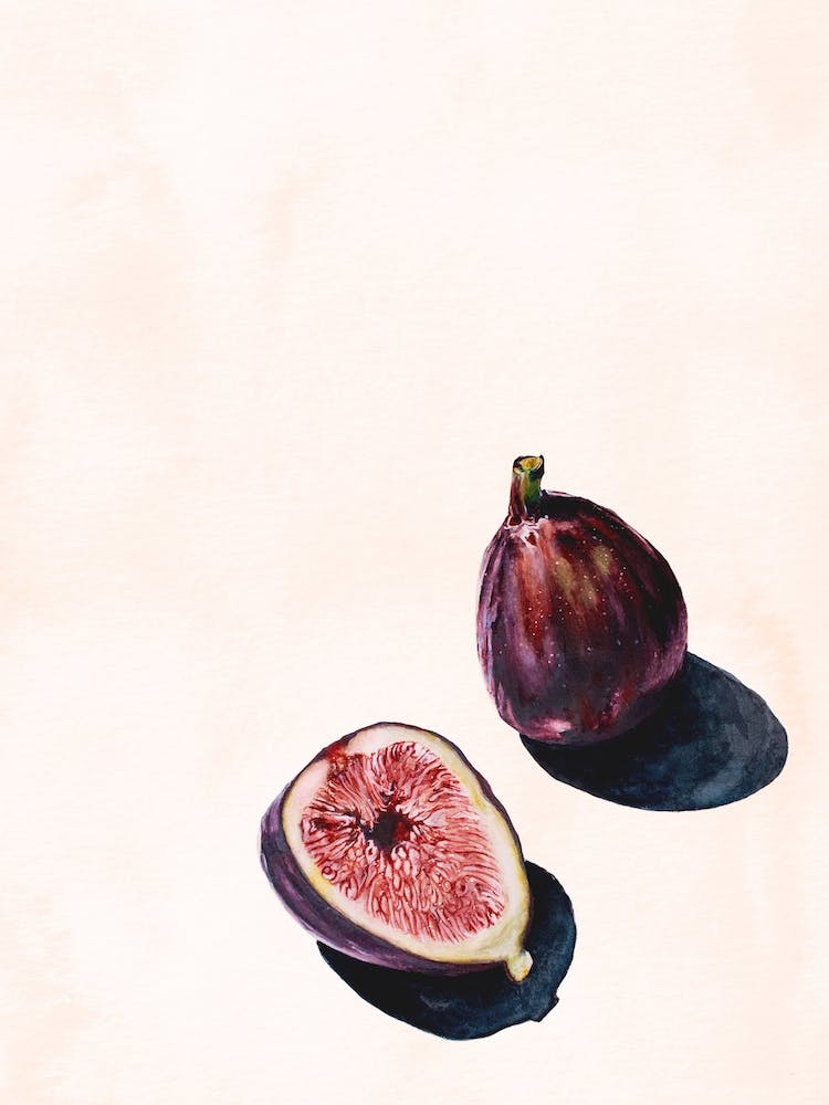 Still Life Watercolour Figs