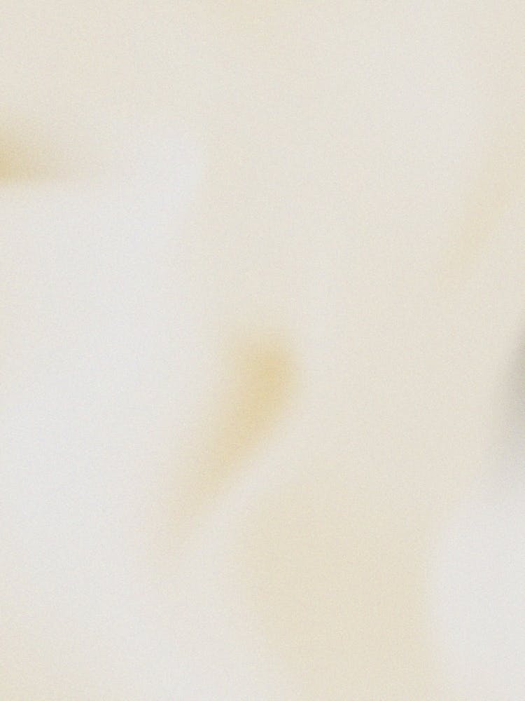 Close Up Of A White Flower