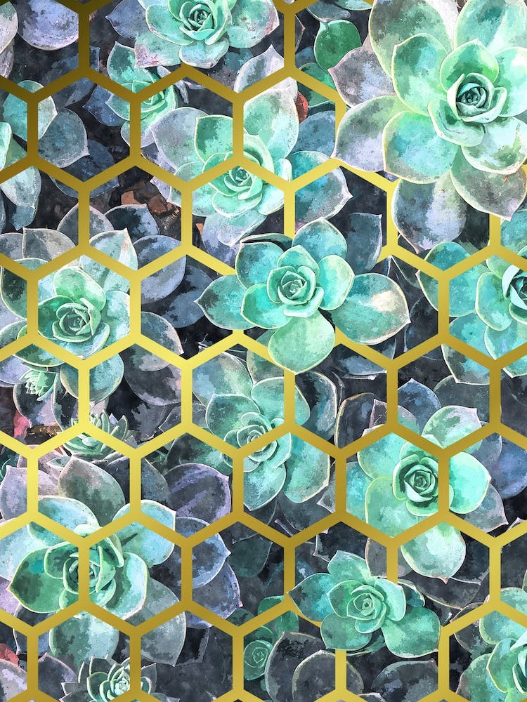 Green Succulents and Gold Geometry