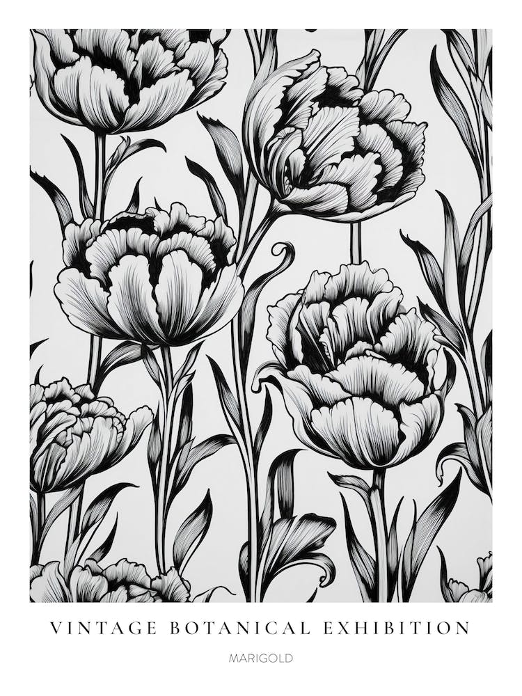 Marigold B&W Vintage Botanical Poster