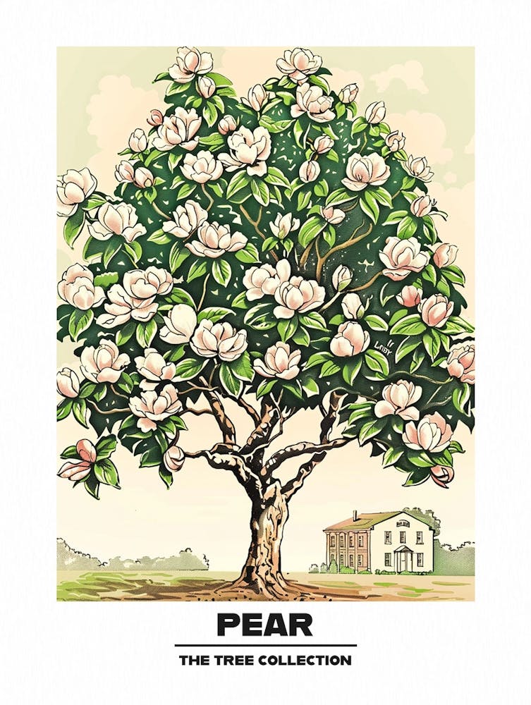 Pear Tree Storybook Illustration 1 Poster