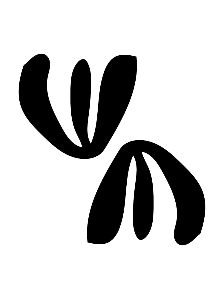 Shape Study In Black