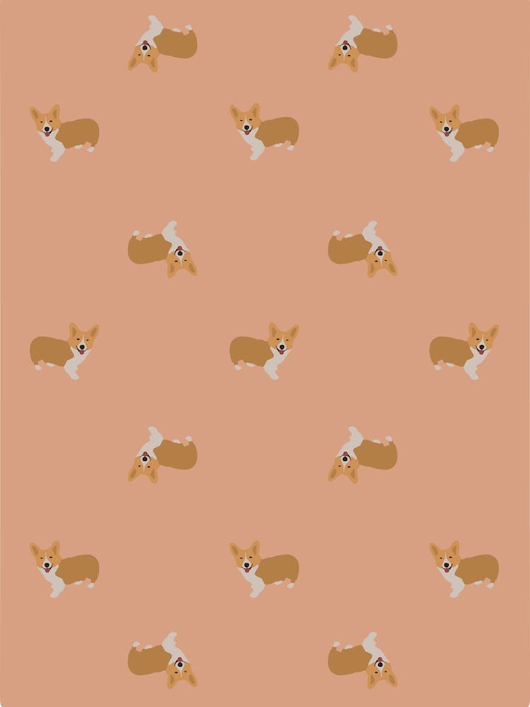 Pink Corgi Nation