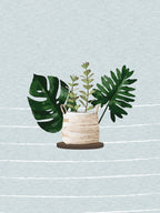 Succulent Plant 4