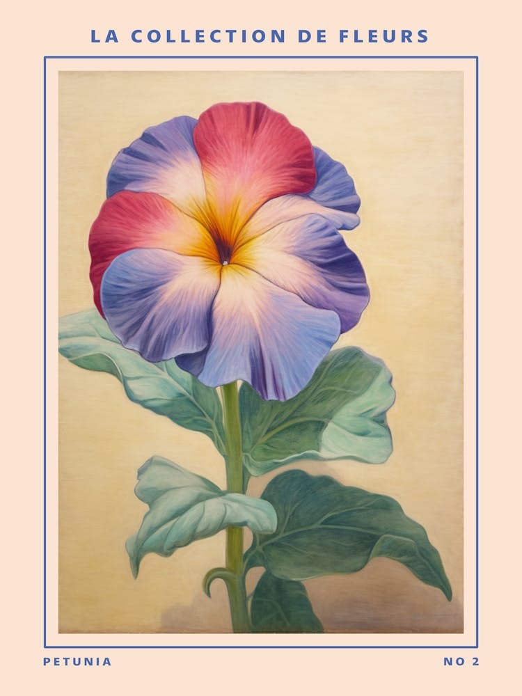 Petunia 2 French Flower Botanical Poster