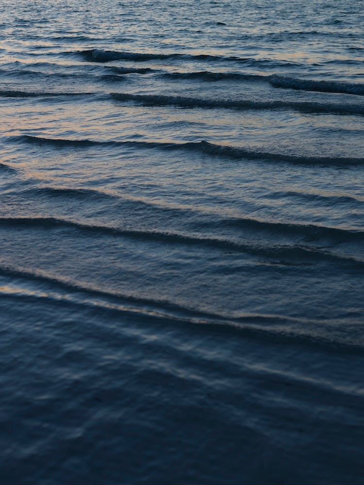 Dark Water Waves