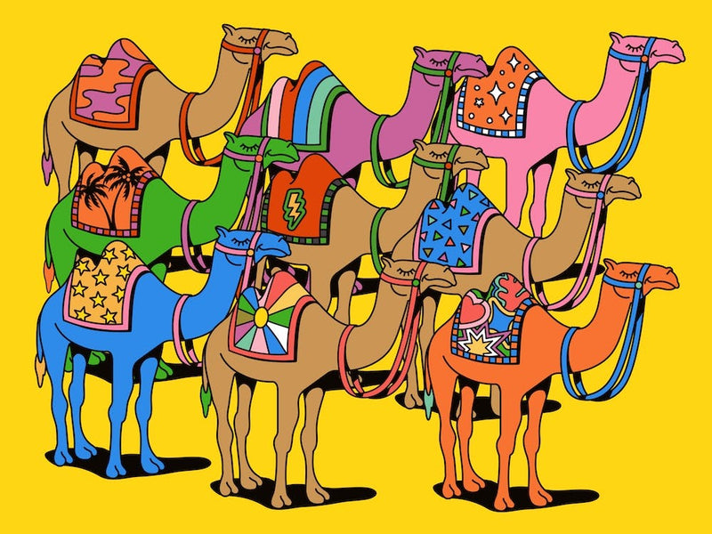 Landscape Colorful Desert Camels Colourful Morroco Sahara World Traveller Dubai