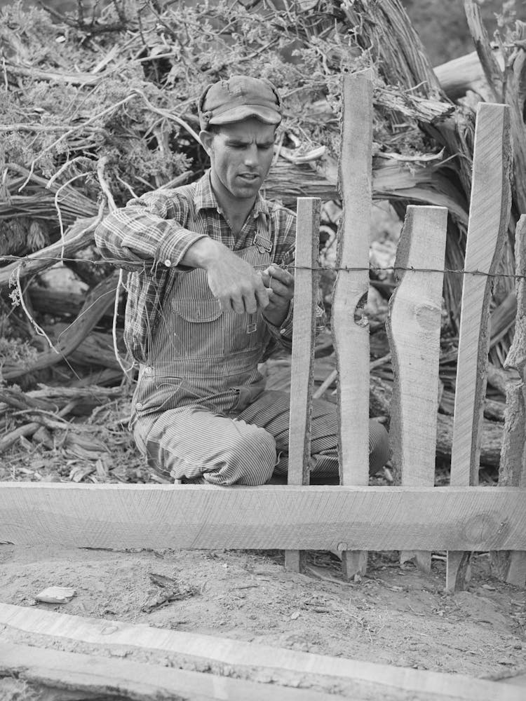 Untitled Photo, Possibly Related To Jack Whinery Fencing With Handsplit Rails On His Homestead At Pie Town, New