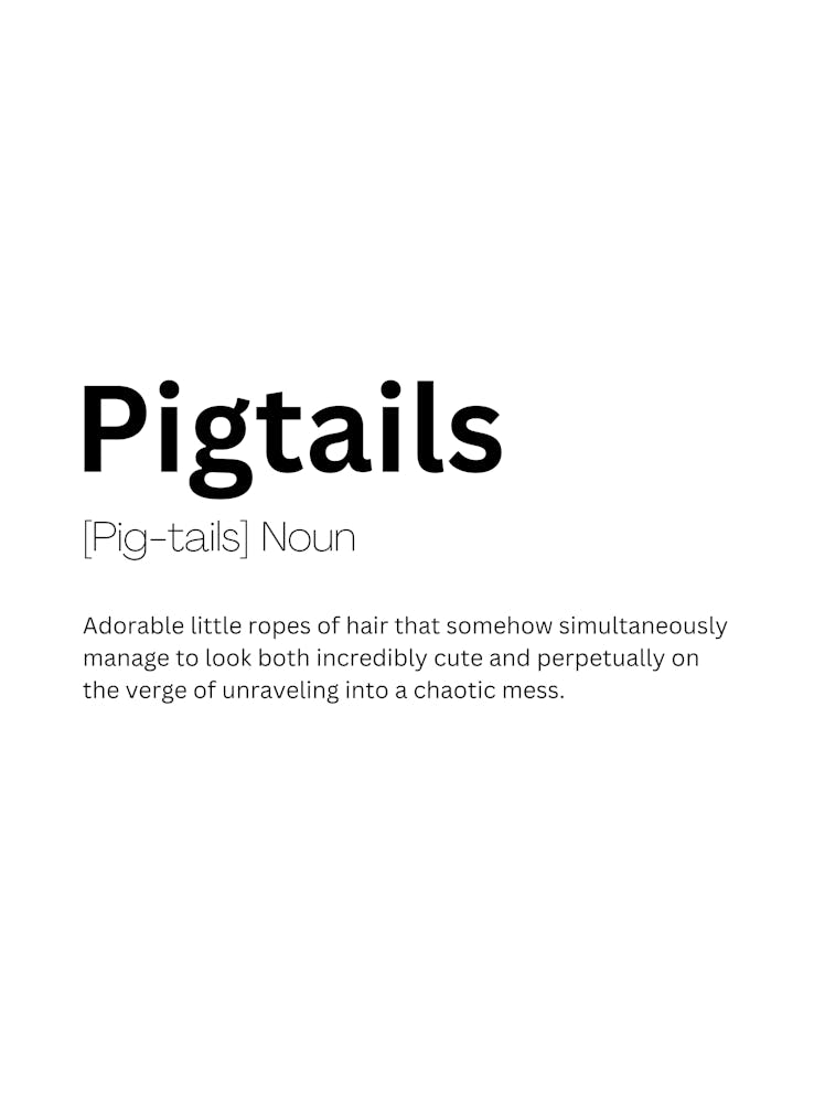 Pigtails Definition Meaning 1