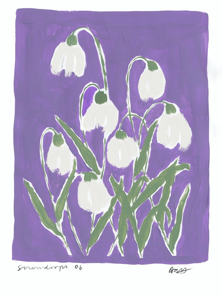 Snowdrops Purple Flowers