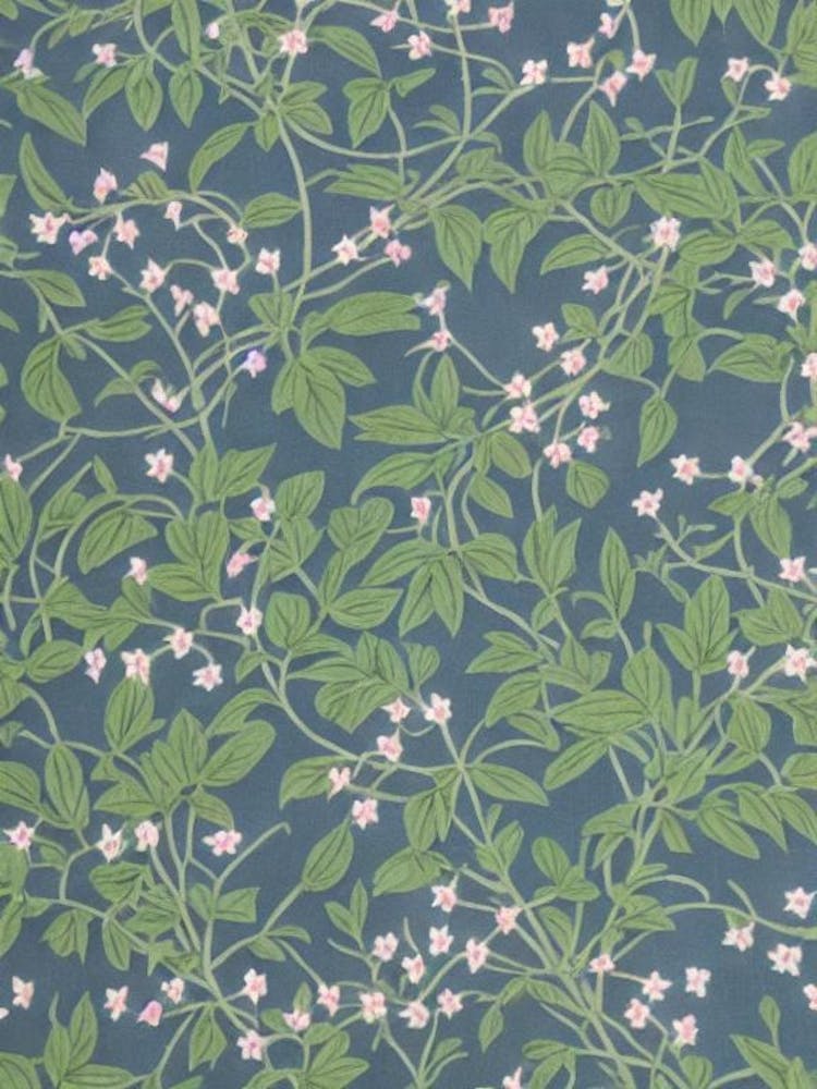 Forest Pansy Redbud 2 tree Vintage Botanical