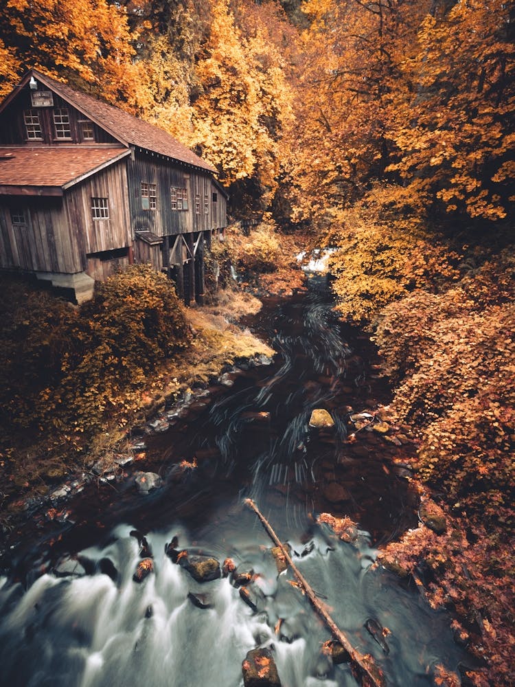 Cedar Creek Grist Mill - Autumn Leaves