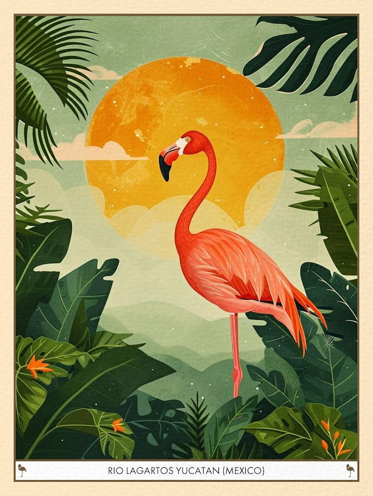 Greater Flamingo Rio Lagartos Yucatan Mexico Tropical Illustration 3 Poster