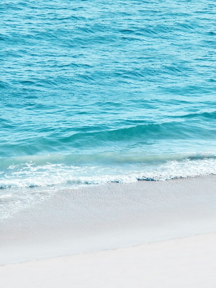 Malibu Shore