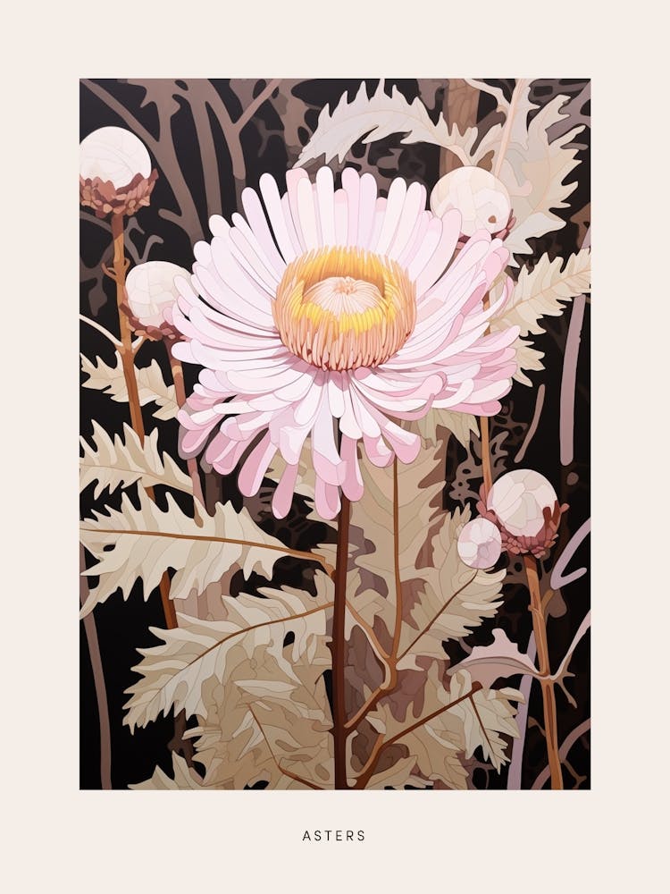 Flower Illustration Asters 7 Poster