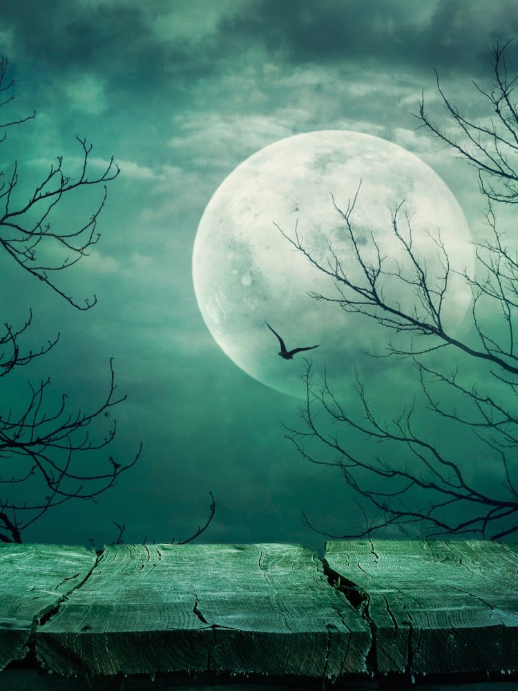 Vollmond am Himmel - Mystischer Mond Poster