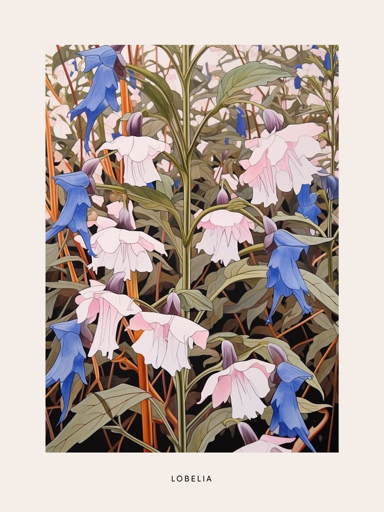 Flower Illustration Lobelia 1 Poster