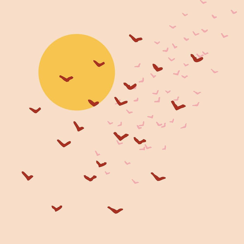 Summer Sky