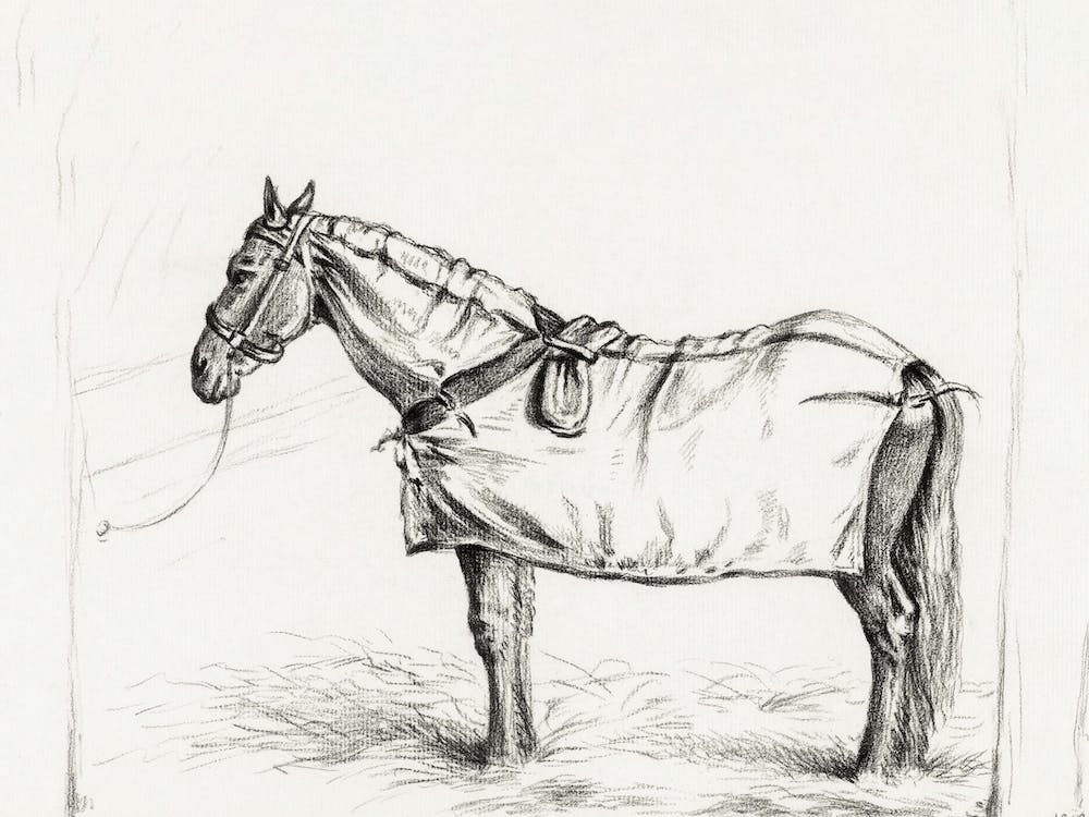Horse Standing In Stable With Blanket, Jean Bernard
