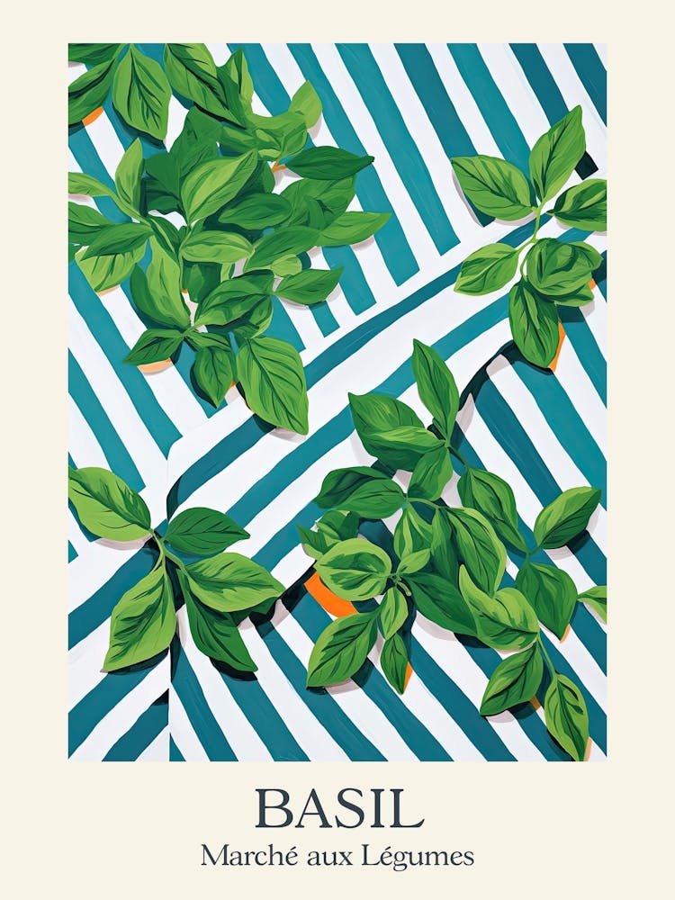 Marche Aux Legumes Basil Summer Illustration 8