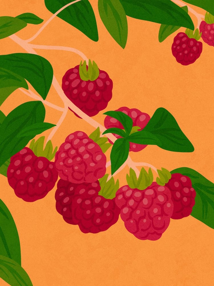 Raspberries