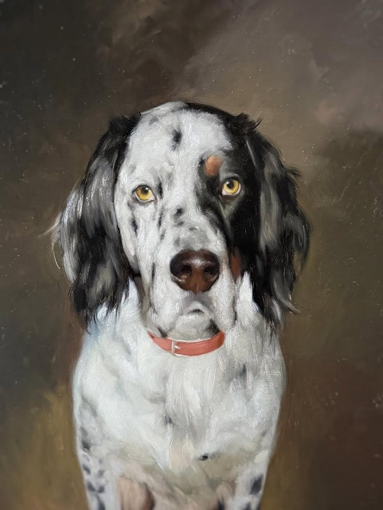 Dog Portrait