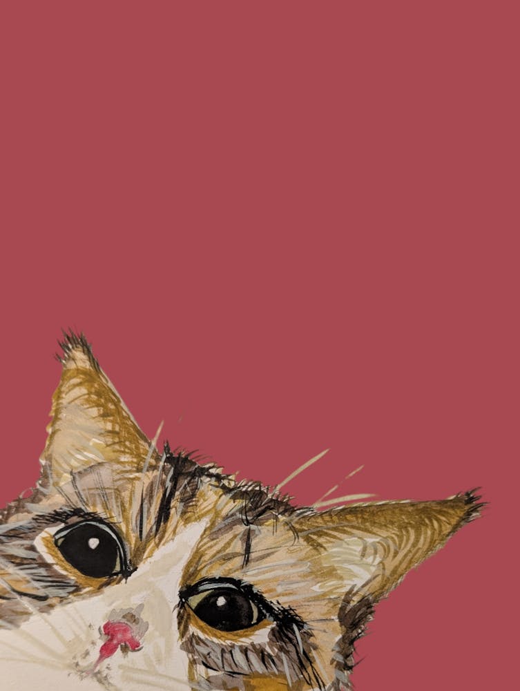 Tabby Cat Watercolour Illustration