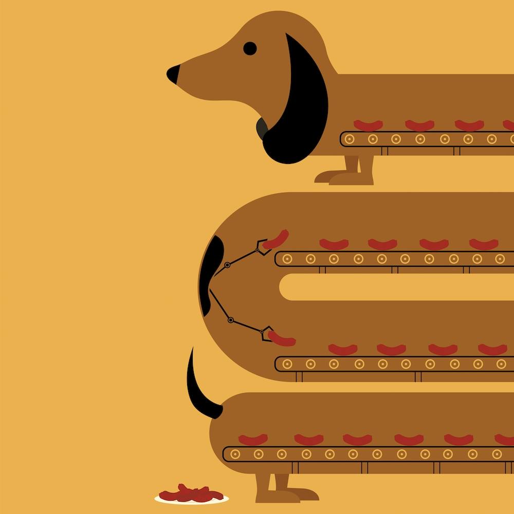 Sausage Dog Square