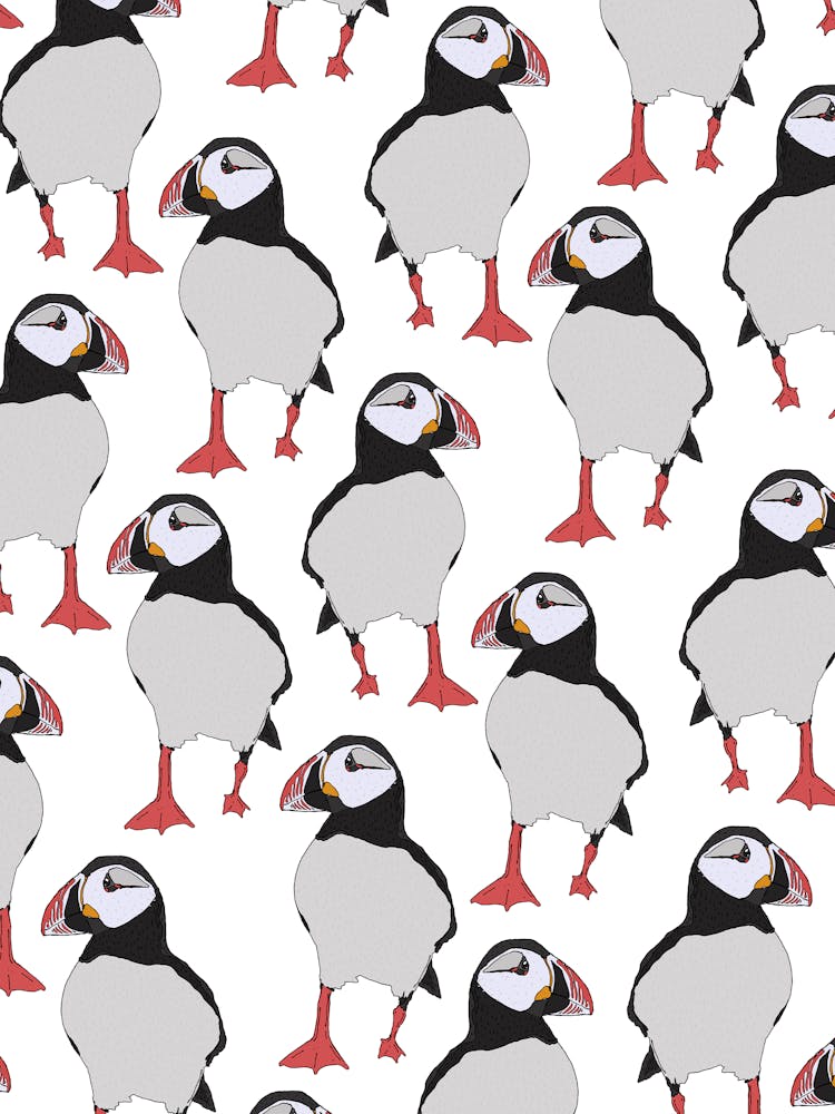Motif Macareux