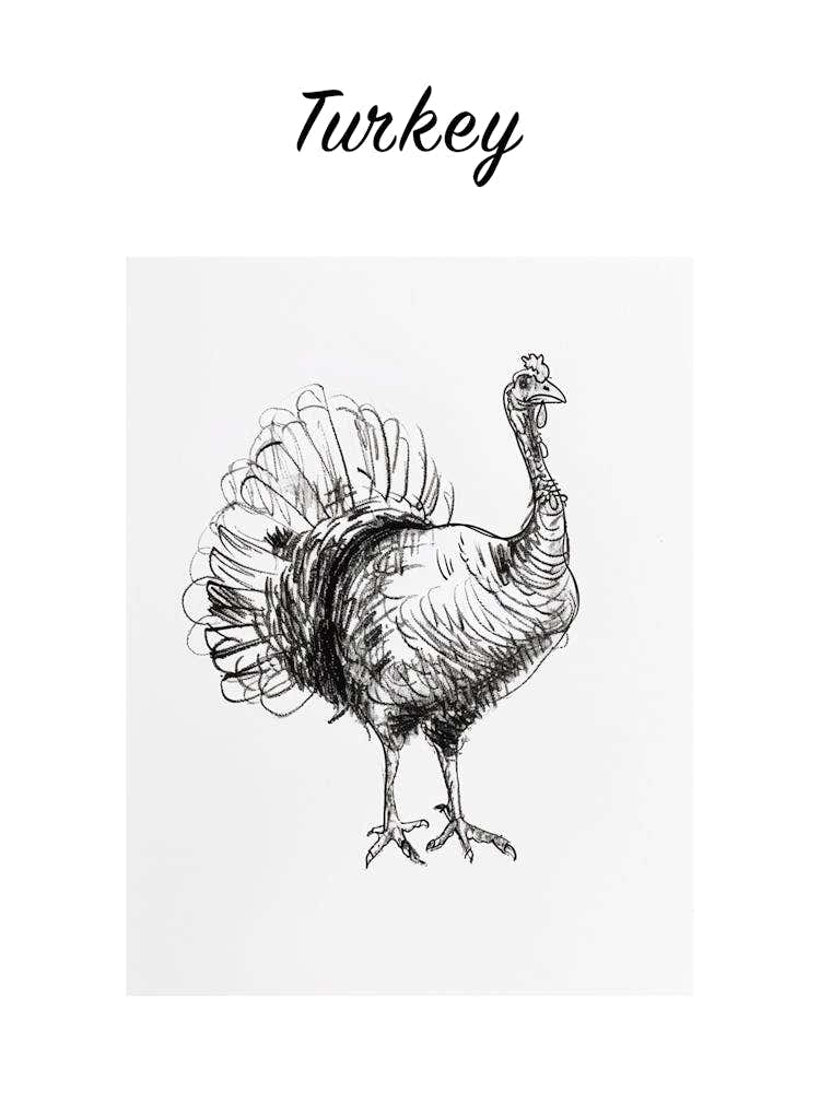 B&W Turkey Poster