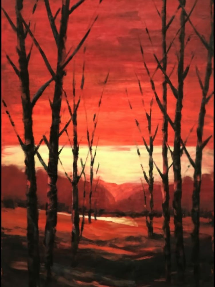 Sunset Over Trees