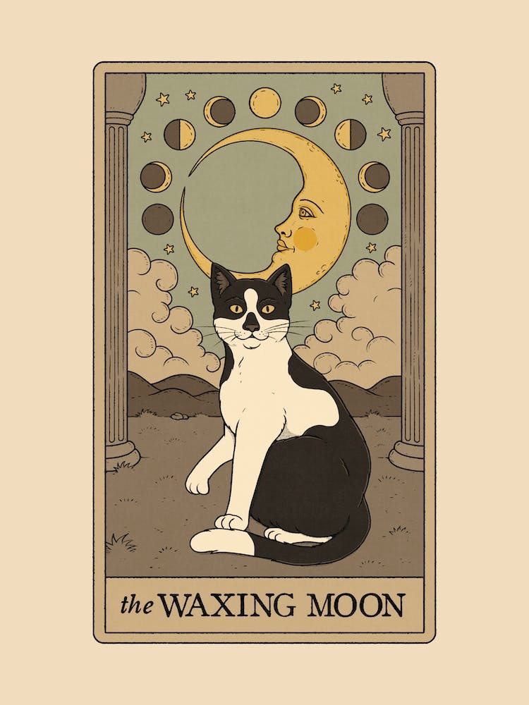 The Waxing Moon   Cats Tarot