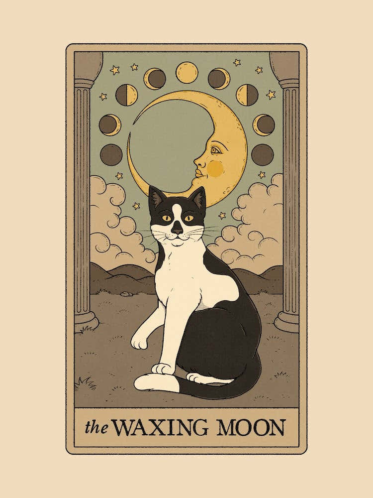 The Waxing Moon   Cats Tarot