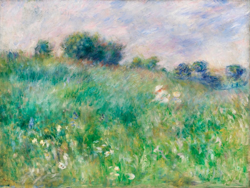 Meadow (1880), Pierre Auguste Renoir