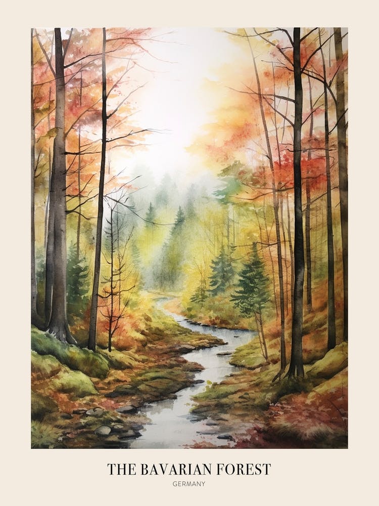 Autumn Forest Landscape The Bavarian Forest Germany Poster