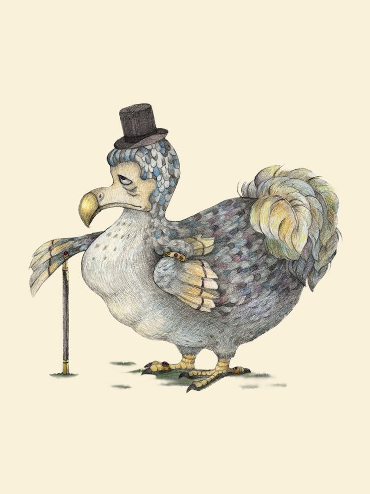 Grumpy Dodo