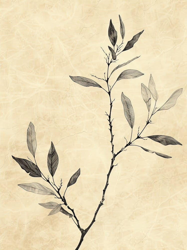 Los Angeles Flower Market Boho Minimalist Style