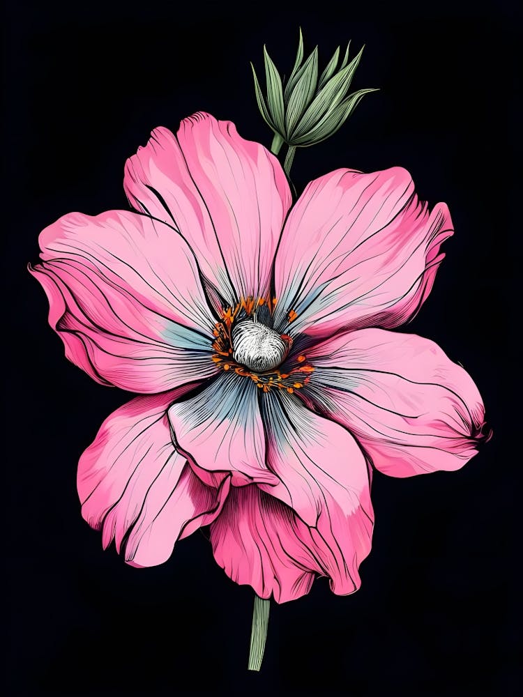 Pink Cosmos Flower 1