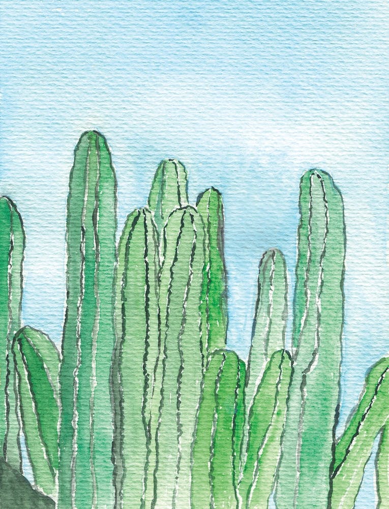 Watercolor Cactus Painting