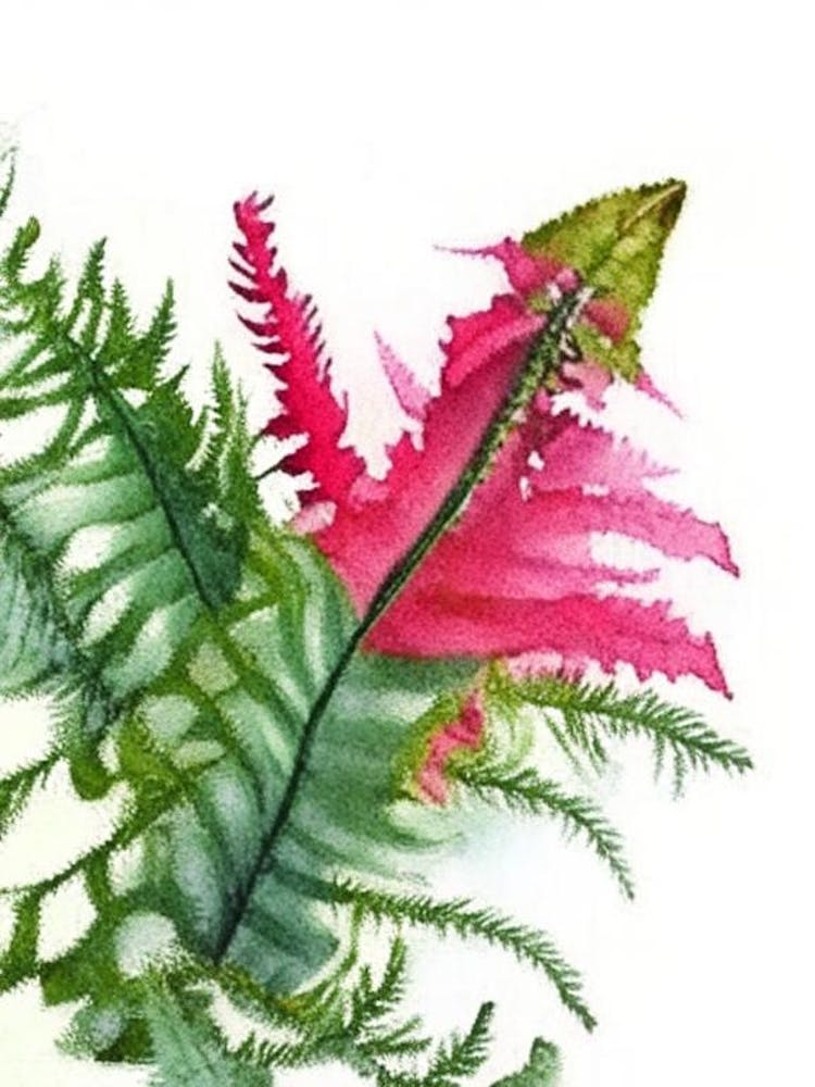 Christmas Fern Wildflower Watercolour 1
