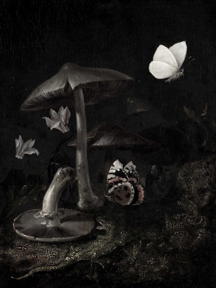 'The Mushroom Garden'