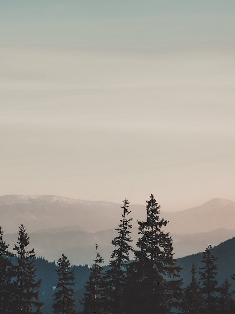 Misty Mountain Sunrise