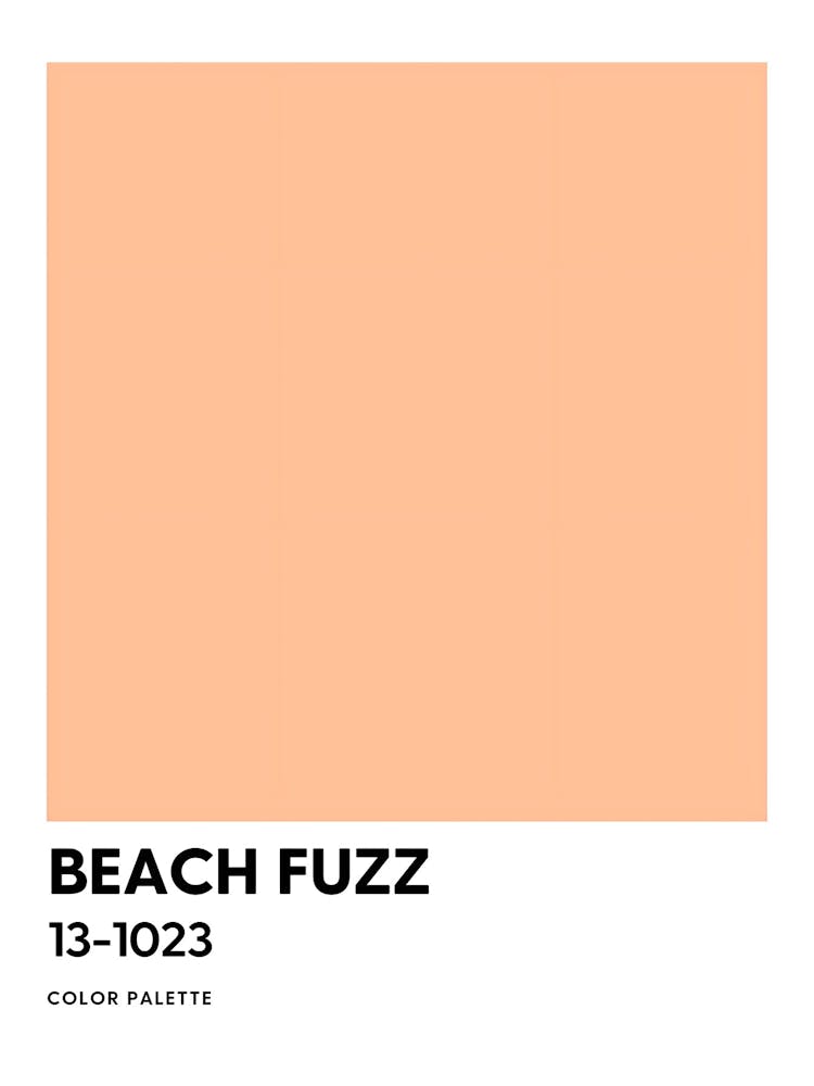 Beach Fuzz 1