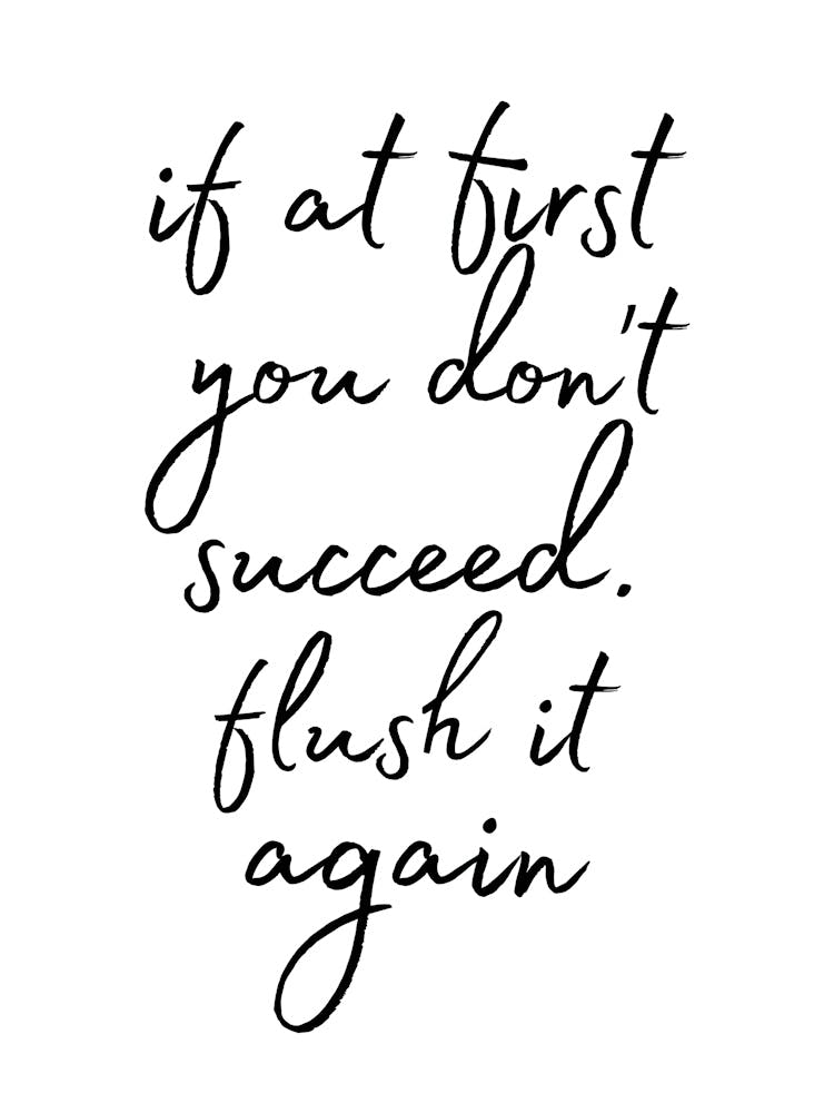 If At First You Don'T Succeed Flush It Again